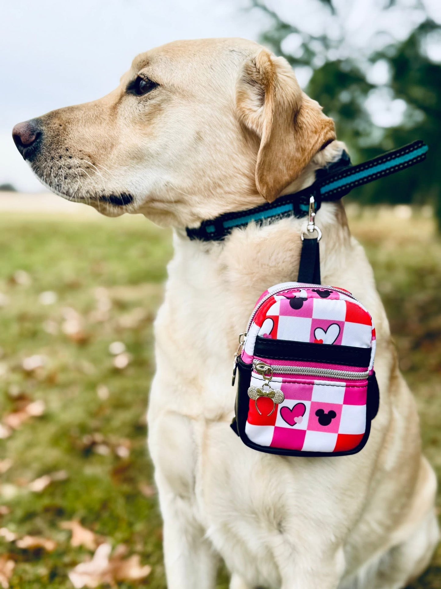 Starlite PDF Pattern